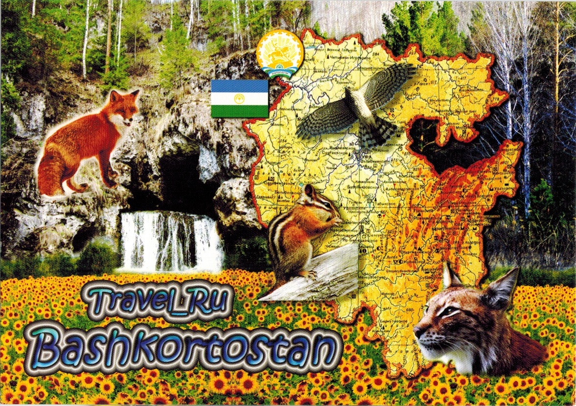 Map Cards - Hunting: 0195 Russia - Bashkortostan