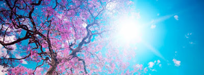 كفرات فيس بوك جديدة اجمل خلفيات واغلفة للفيس بوك Facebook Covers Wallpapers