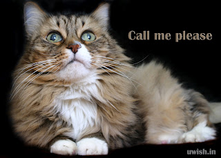 Call Me please - I'm waiting E greeting cards and wishes