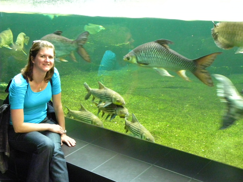 Travels - Ballroom Dancing - Amusement Parks: The famous Aquarium of