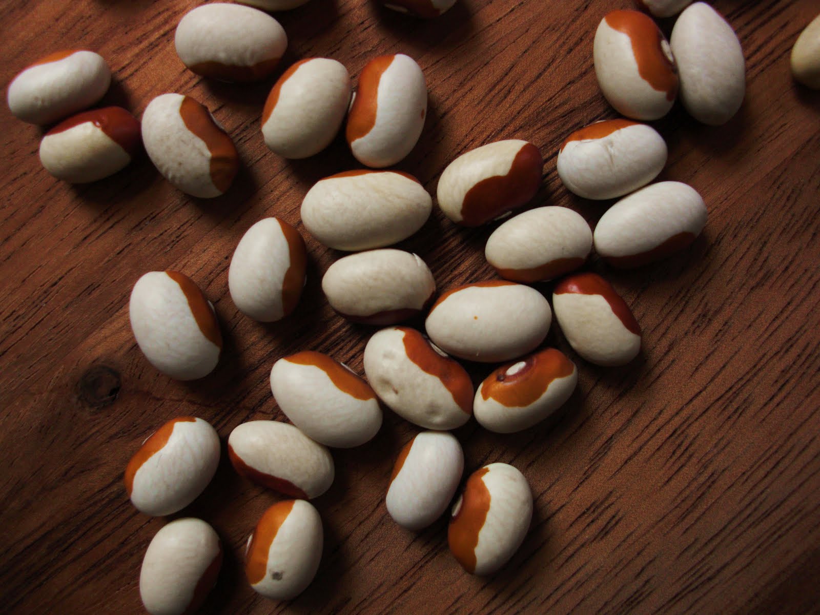 Nourish The Roots YellowEyed Beans