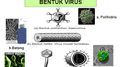 Powerpoint [PPT] Biologi Sub Tema Virus