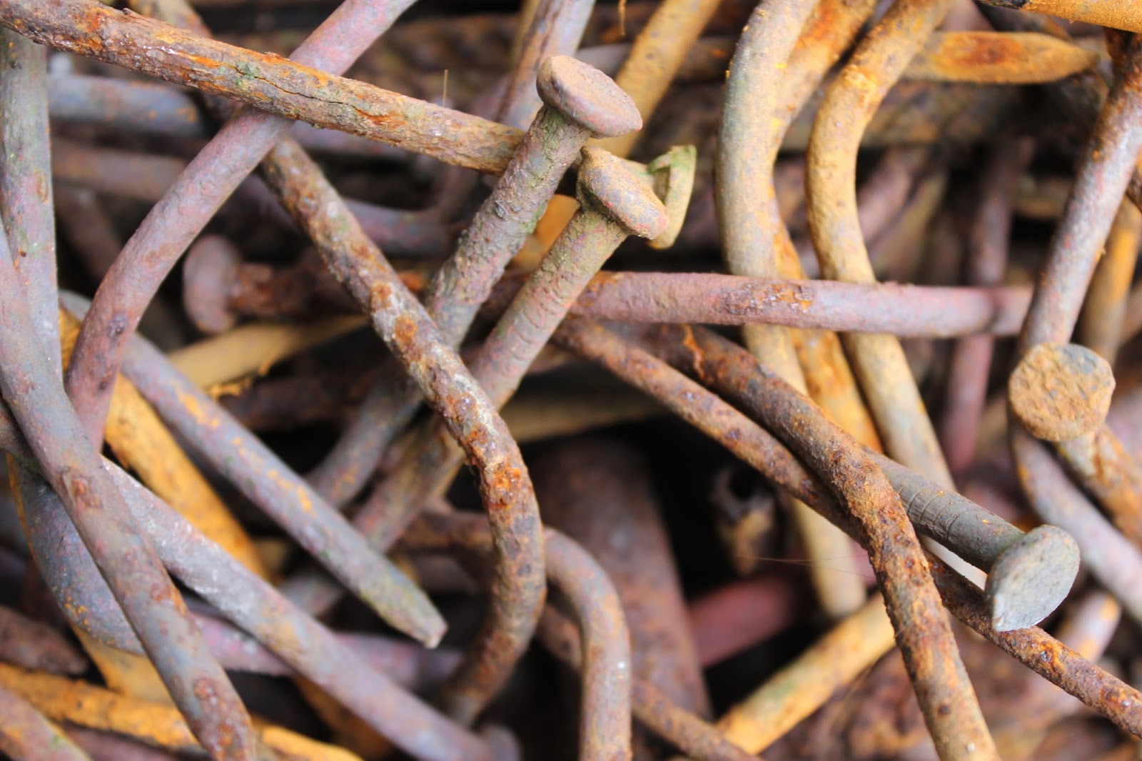 November In Berlin Meinort In 13 Akten Terrorpuppi