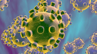 कोरोना वायरस, Symptoms-of-coronavirus, कोरोनावायरस , कोरोना-वायरस-सावधानियां-एवं-सुझाव, Corona-Virus-Prevention-Tips