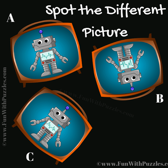 Spot the Different Bot Picture: Teen Puzzle
