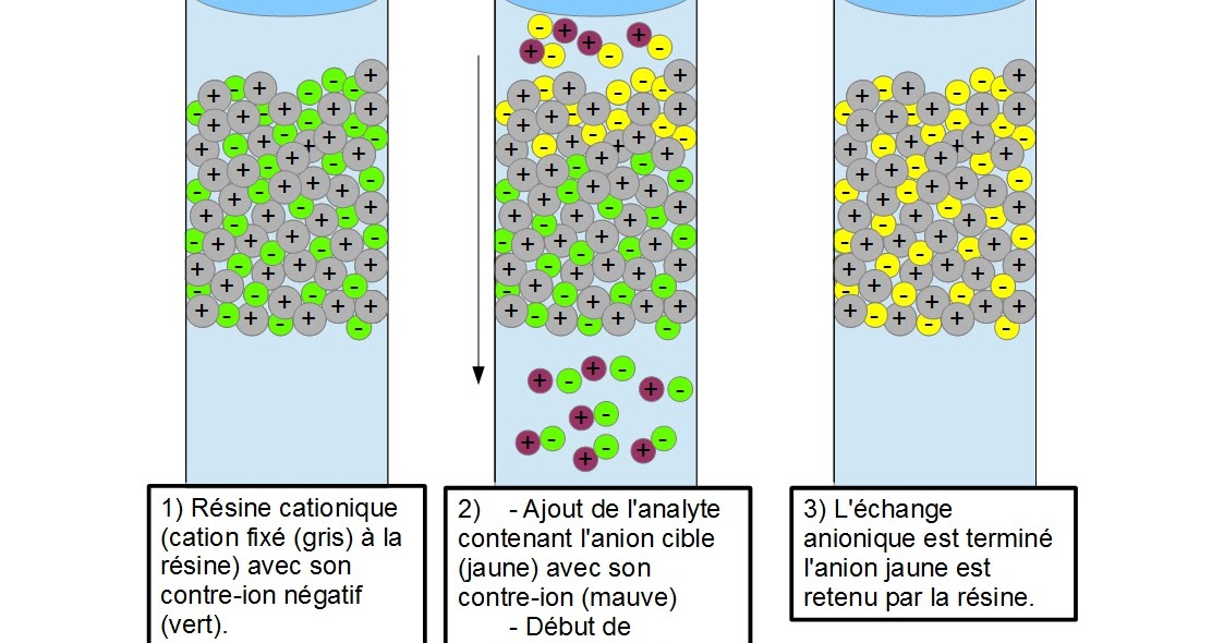 CHROMATOGRAPHIE D’ECHANGE D’IONS / IONIQUE Dr laoufi COURS de la pharmacie