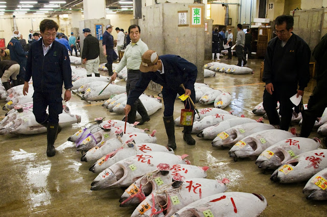 HOUR 05:00. Jason Pemberton. United Kingdom. Tuna at Tsukiji fish market