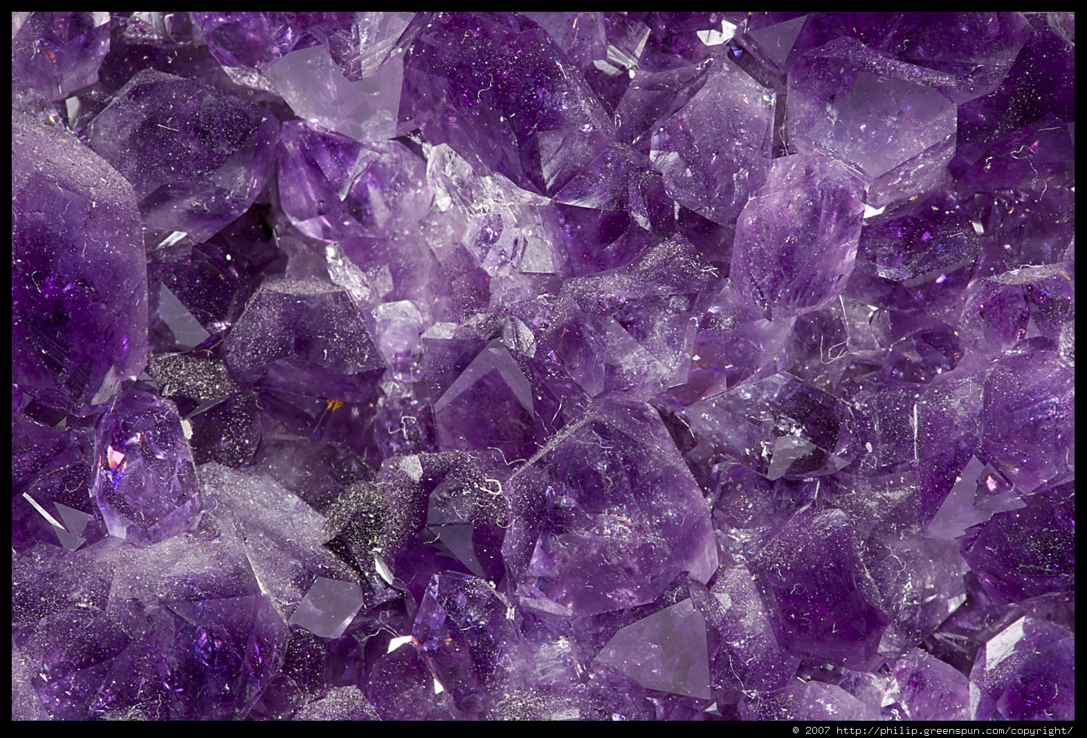 musings from the marsh...: The Amethyst...