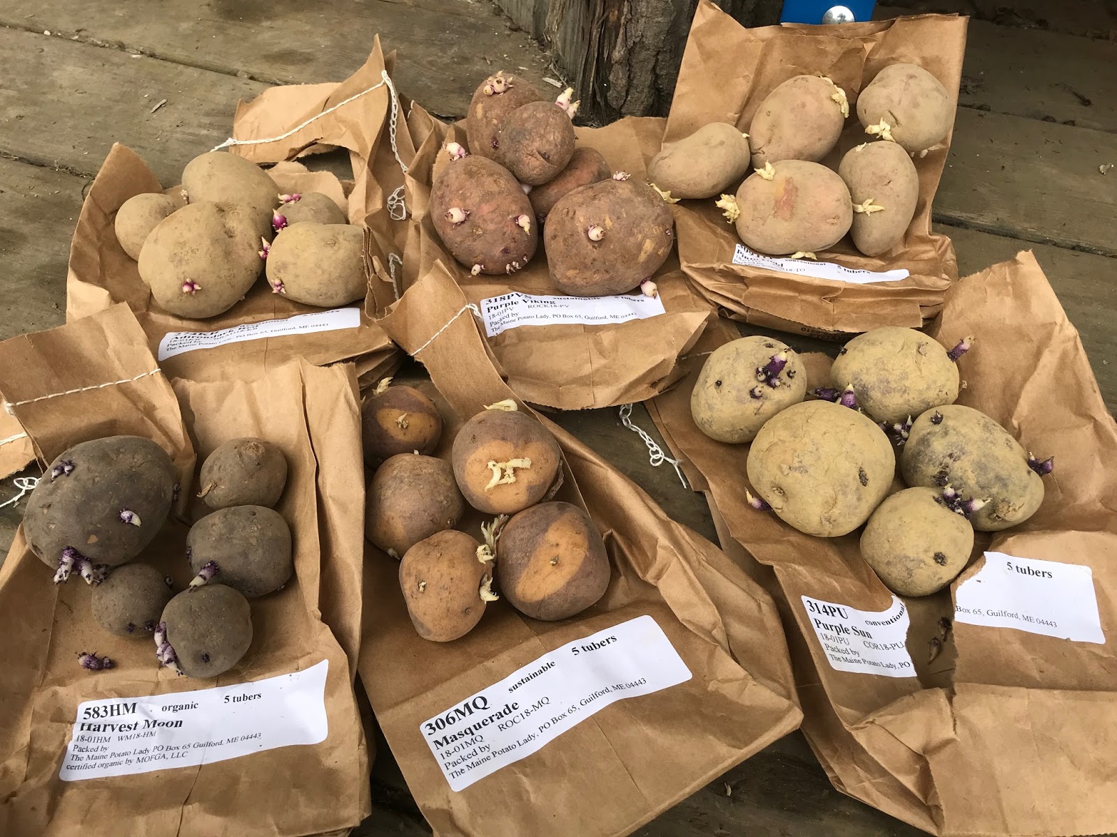 The Deliberate Agrarian 2.0 Eight Potato Varieties in Minibeds