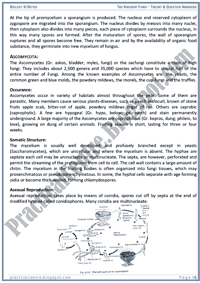 Kingdom Fungi - Theory And Questions Answers - Biology XI