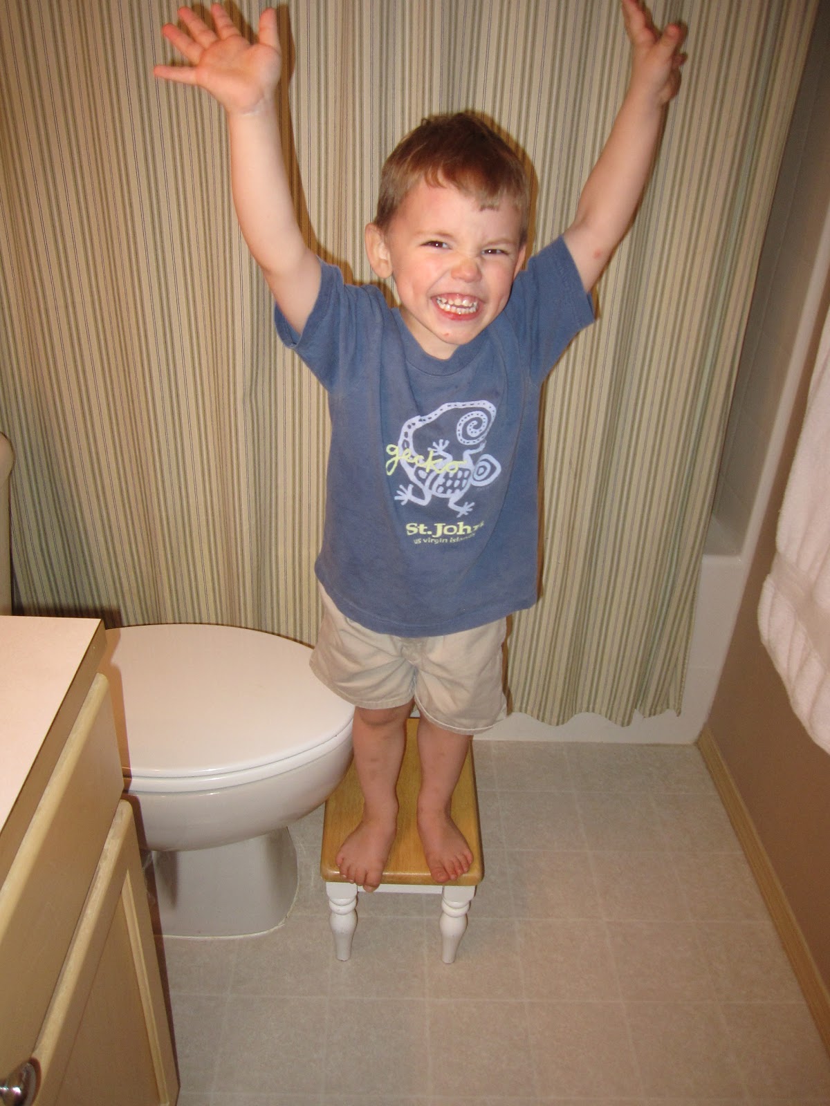 Allan Fray Potty training day time naps