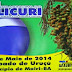 REGIÃO / MAIRI: 2ª Festa Municipal do Licuri será realizado no Povoado de Uruçu