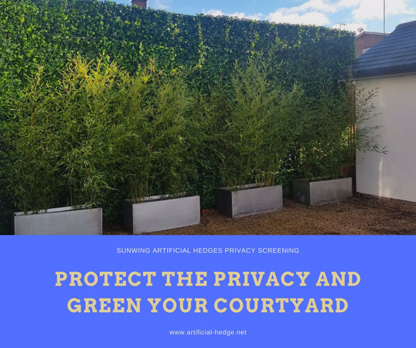Clean Green Natives The Secrets Of A Beautiful Native Hedge