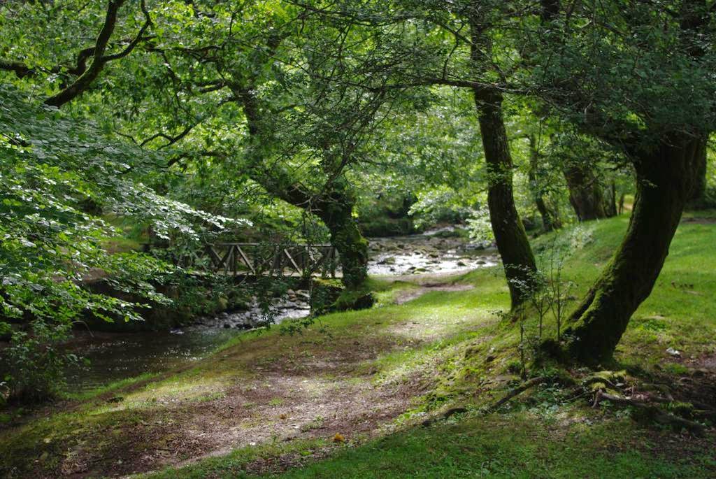 Viajando El bosque encantado de Ucieda Cantabria
