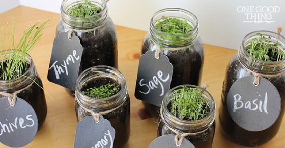Organic News: How to Make Your Own Mason Jar Herb Garden