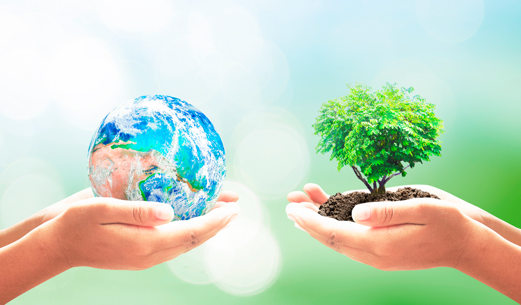 Mi vista hacia el Mundo La ecologia, el ecosistema y sus recursos. Mi vista hacia el Mundo La ecologia, el ecosistema y sus recursos.