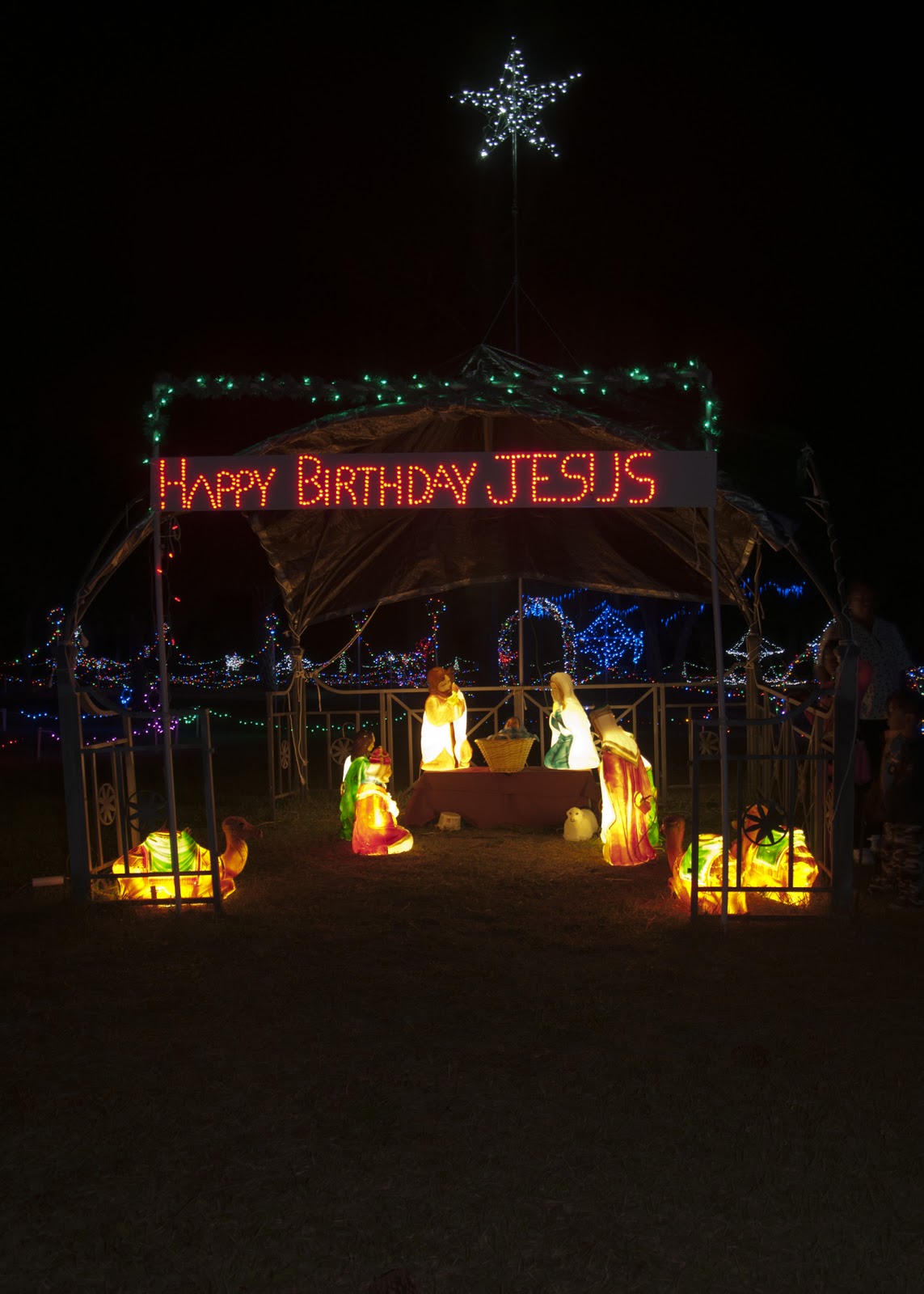 Photos by Patty Stefan Christmas in Port Charlotte