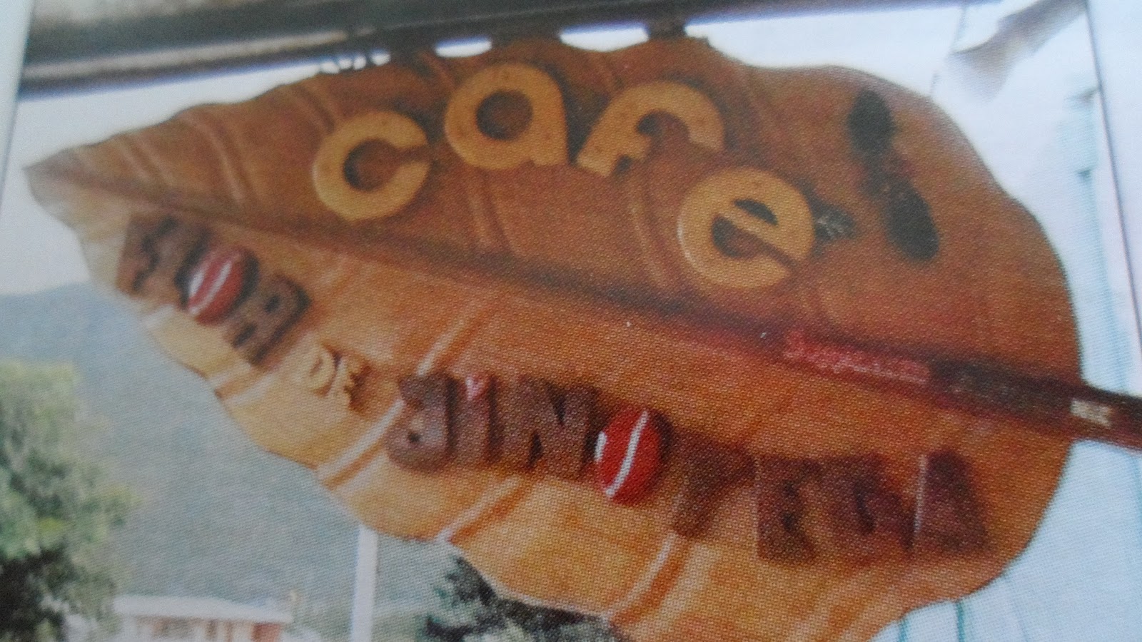 tisaneando EL CAFÉ DE NICARAGUA.