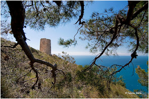 Torre de Cerro Gordo-Paraje Natural Acantilados Maro Cerro Gordo