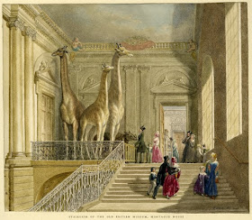 Staircase of the British Museum in Montagu House Watercolour by George Scharf I (1845) © Trustees of the British Museum Staircase of the British Museum in Montagu House Watercolour by George Scharf I (1845) © Trustees of the British Museum