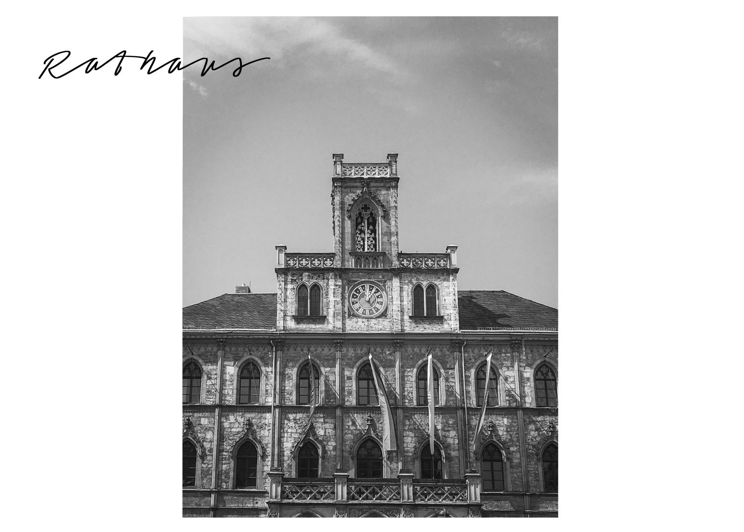 Calluna Magazin August 2017