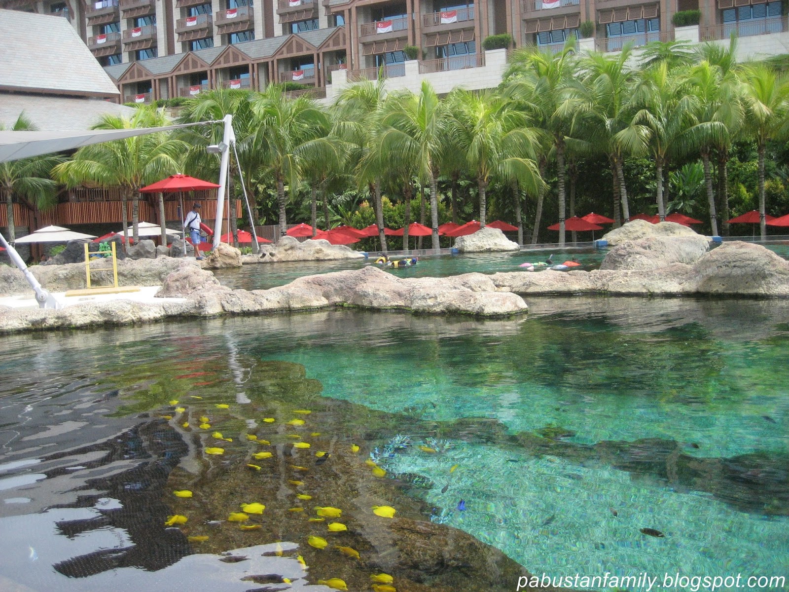 Family Travelogue: Adventure Cove Water Park, Resort World Sentosa ...