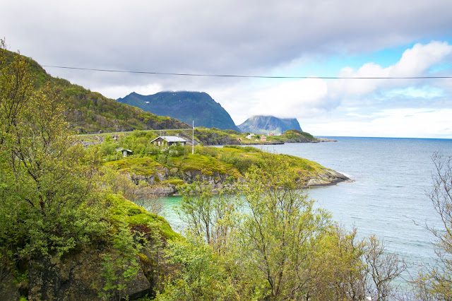 Isola di Senja (Gryllefjord e Hamn)-Isola Lofoten