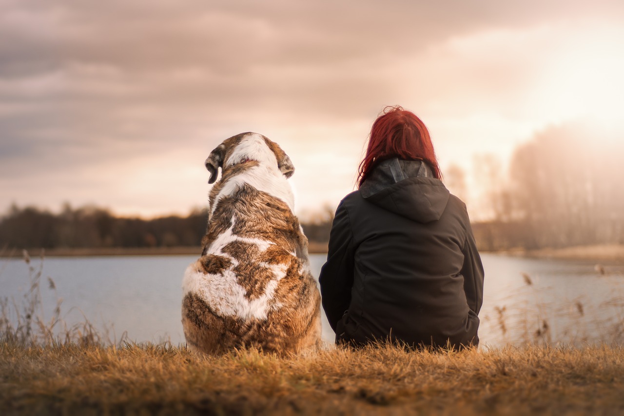 Köpekler Hakkında Daha Önce Duymadığınız 10 İlginç Bilgi Süs Köpekleri