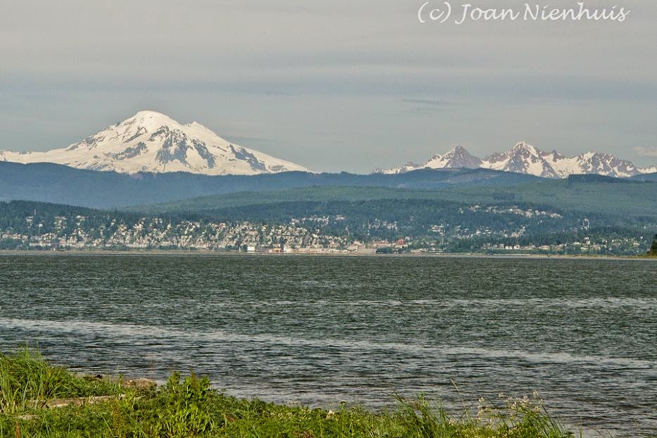 Pacific Northwest Photography Mt. Baker from Lummi Reservation