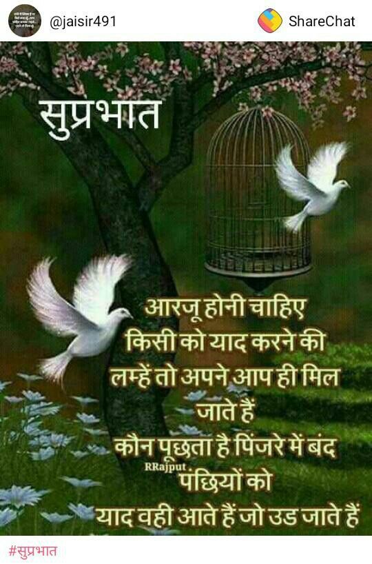 love couple images with hindi shayari