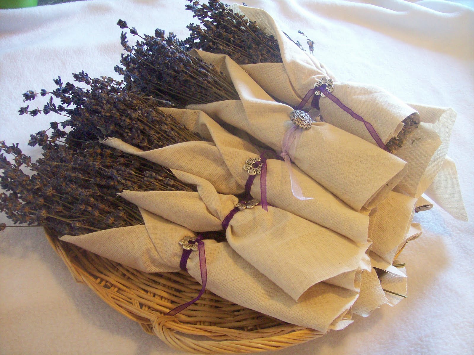 Az én kis világom...: Levendula...