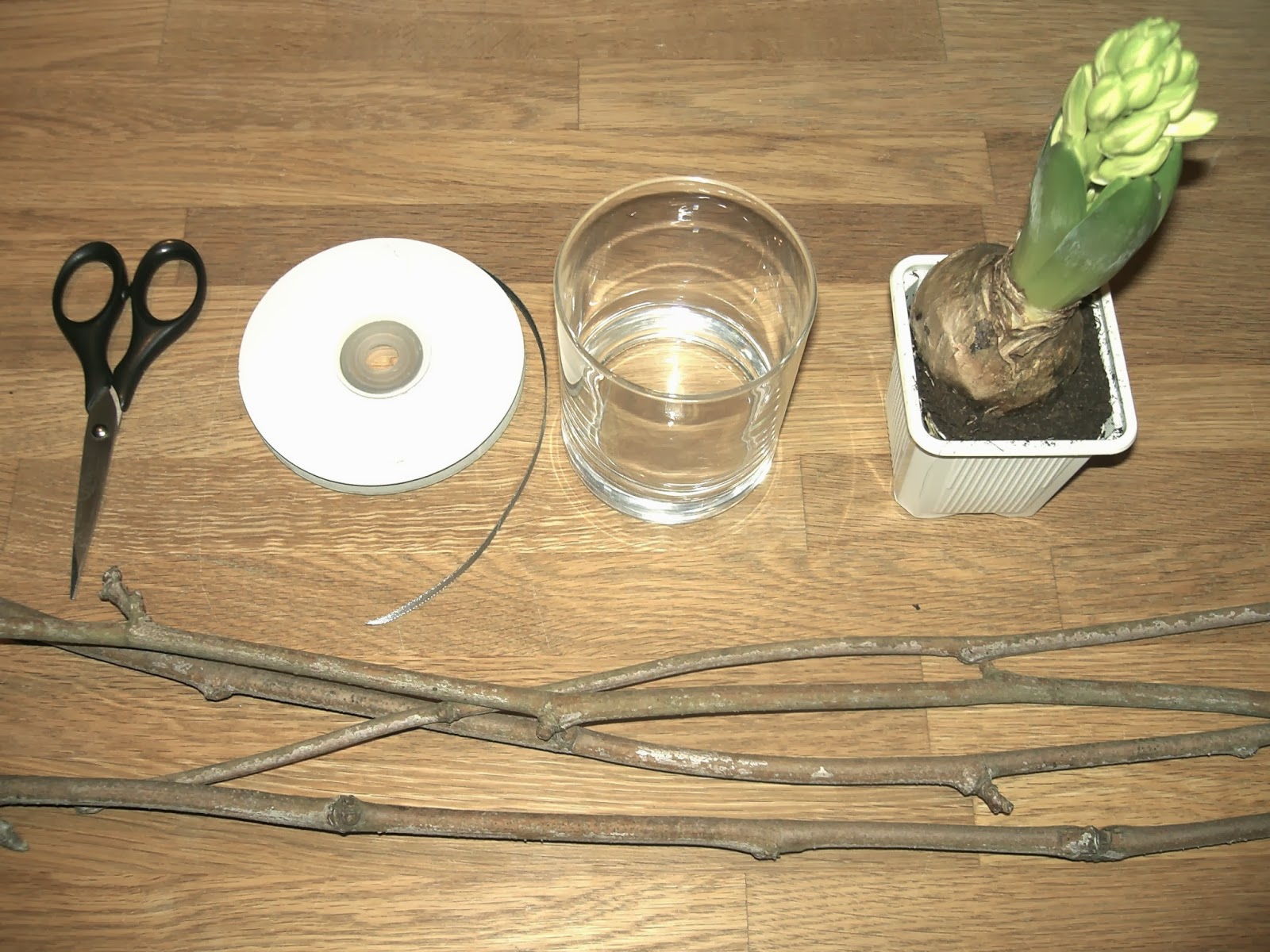 Gabulle in Wonderland: Un pot homemade pour ma jacinthe