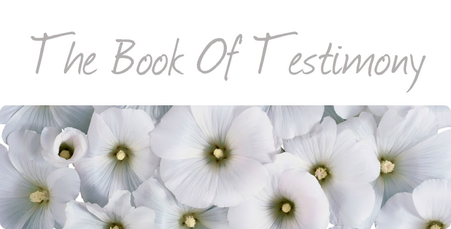 The Book Of Testimony