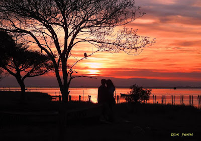 A natureza bondosa com o fotografo