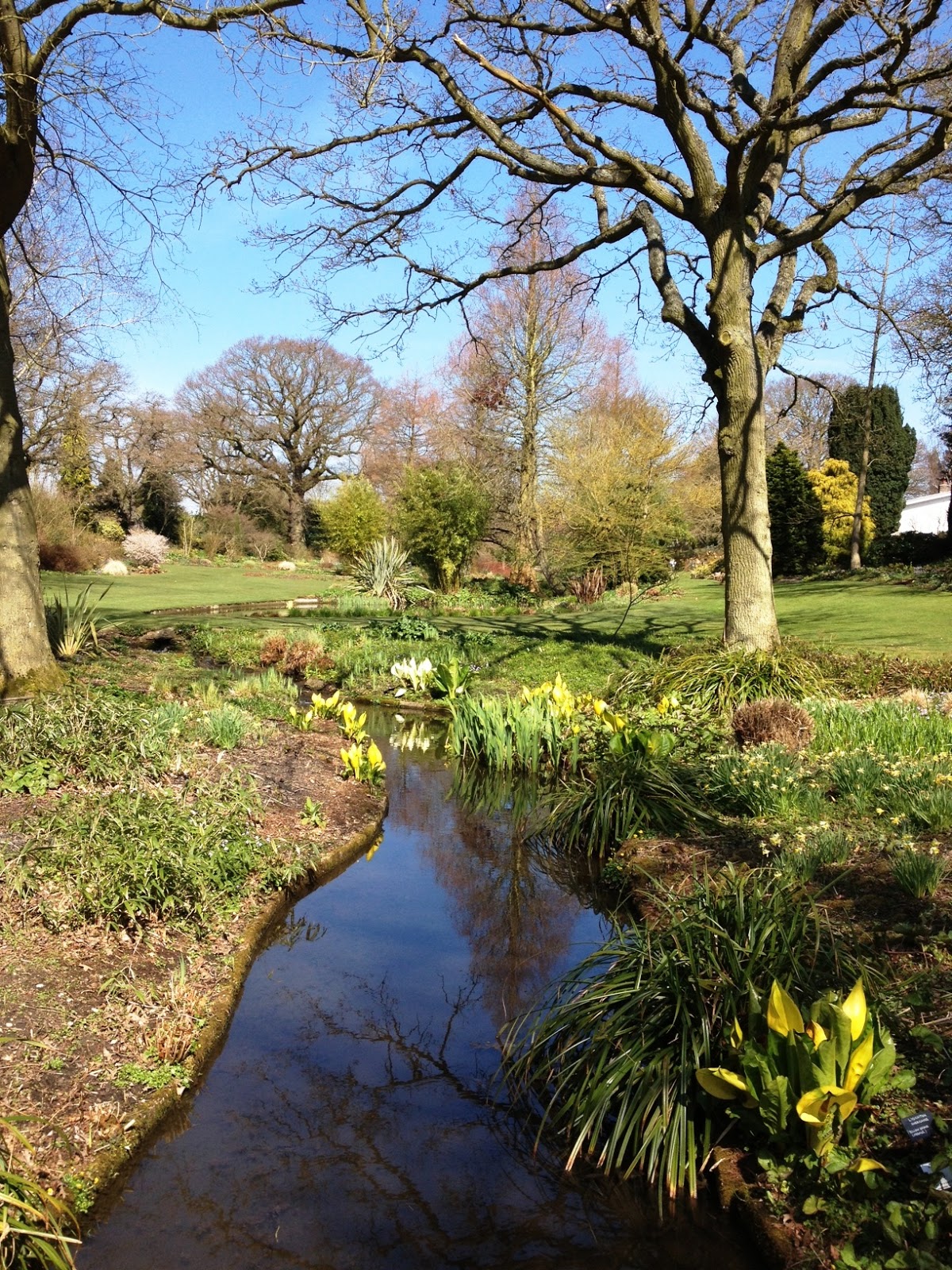 JOHN STEFANIDIS GARDENS Beth Chatto