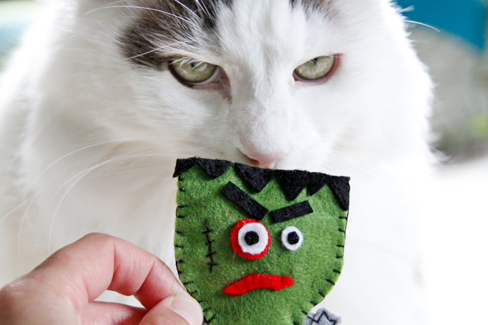 Creativity Unmasked DIY Felt Frankenstein Catnip Halloween Cat Toy