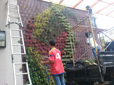 vertikal garden www.tukangrumputserpong.com