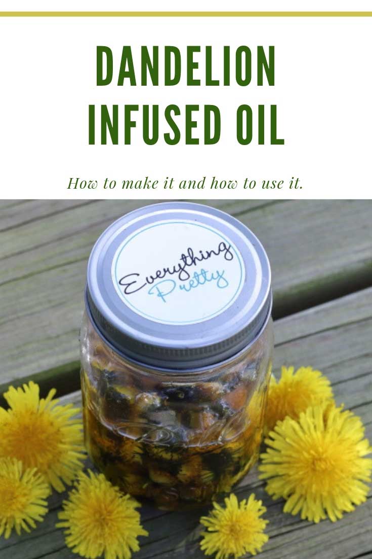 Dandelion Oil Benefits and Uses and How to Make It