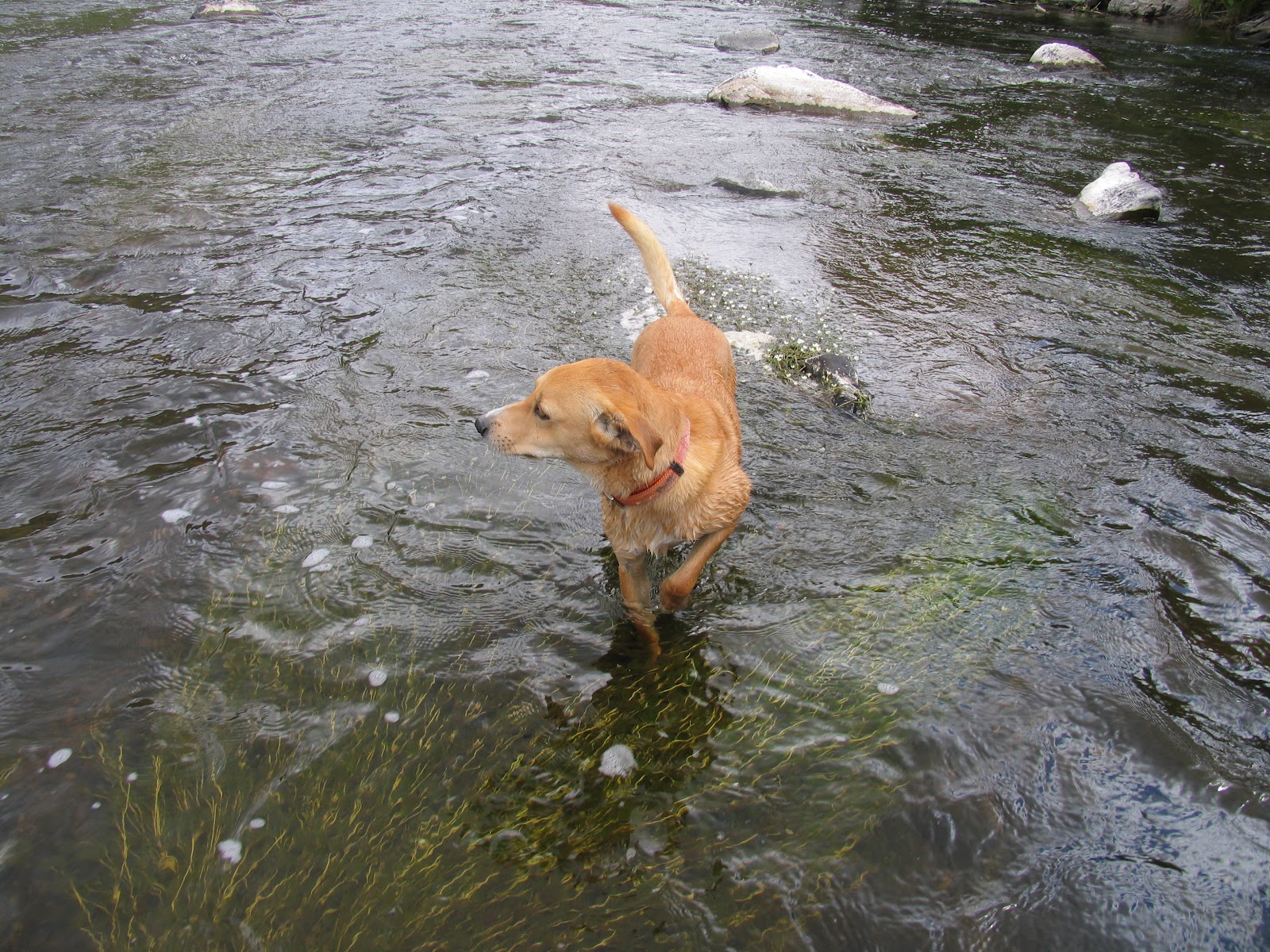 Wool, Blue Jeans, and Hunting Across the Country Fly Fishing the