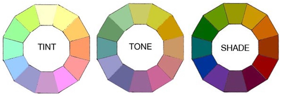Fiorito Interior Design: Let's Talk About Color: Four Color Schemes To ...
