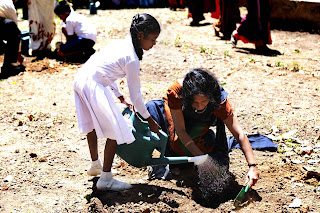 Priyanthi Chandrasekera, Project Manager-Scaling up Nutrition through a Multi-Sector Approach, FAO plants a tree with a student of Wijerama Maha Vidyalaya.
