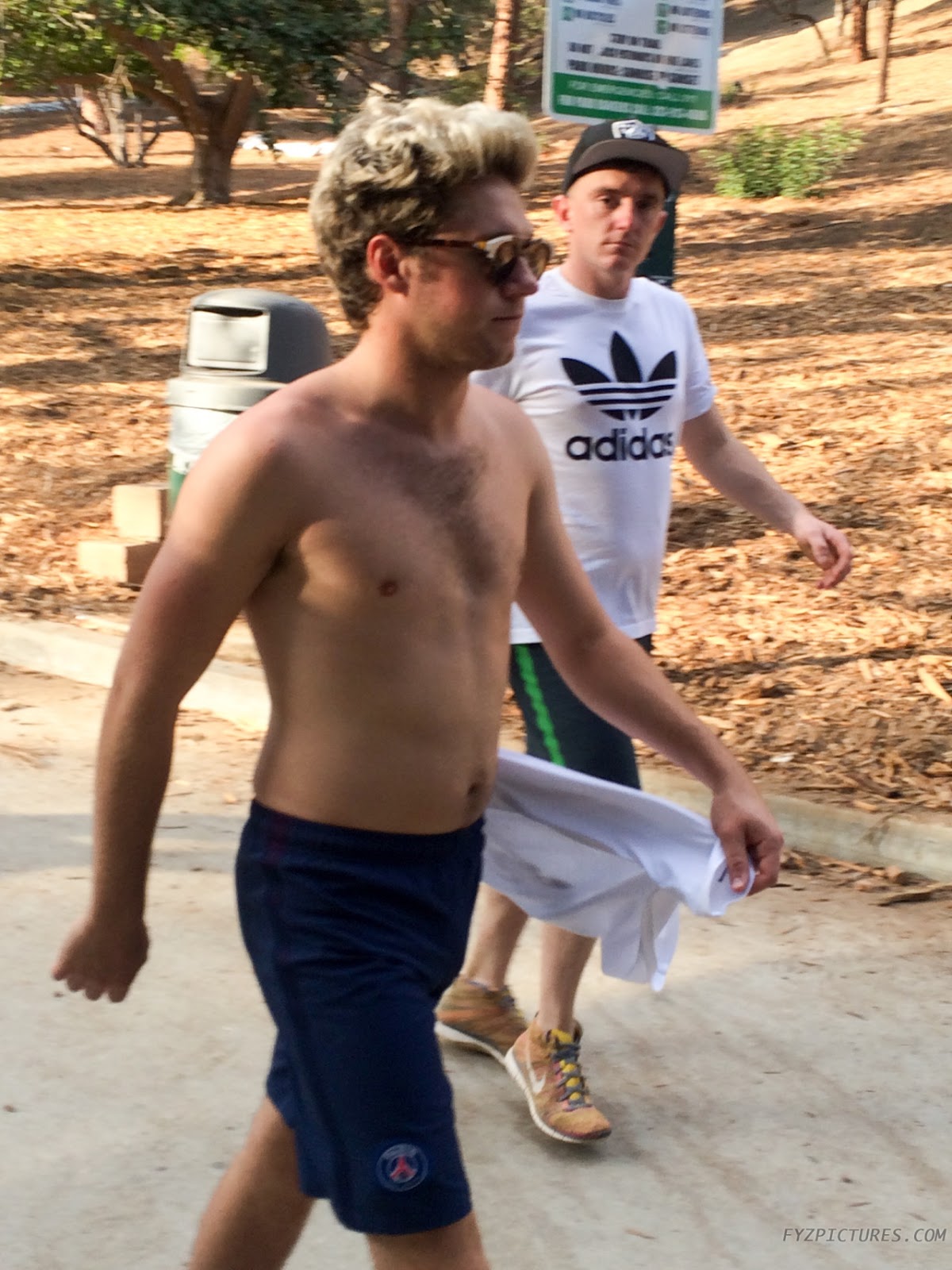 The Male Celebrity Famous Male Picture Blog Niall Horan New Shirtless