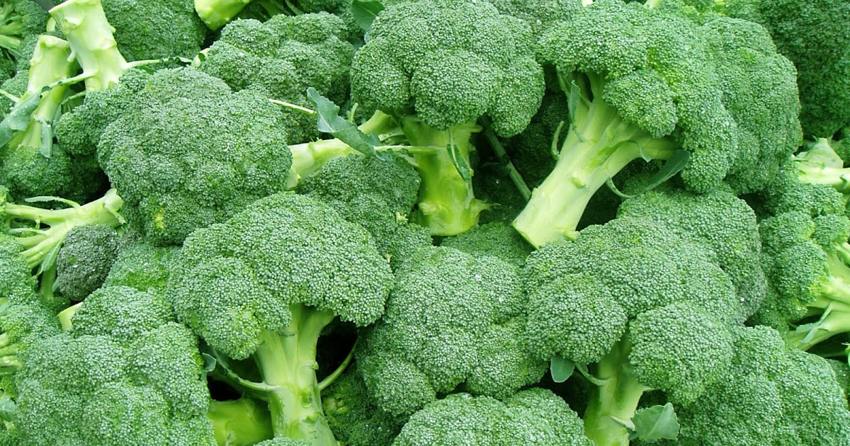 Broccoli khane ke fayde (Benefits of Broccoli in Hindi.) Hinglishpedia