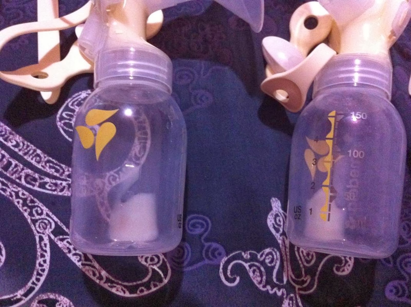 Breastfeeding Journey All about Expressed Breast Milk EBM