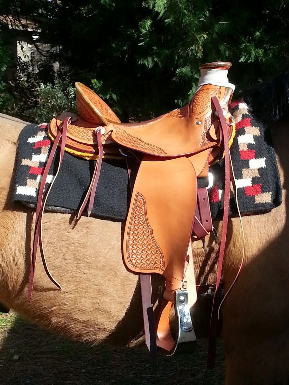 Mustang Adventures JJ Maxwell saddle it has arrived!