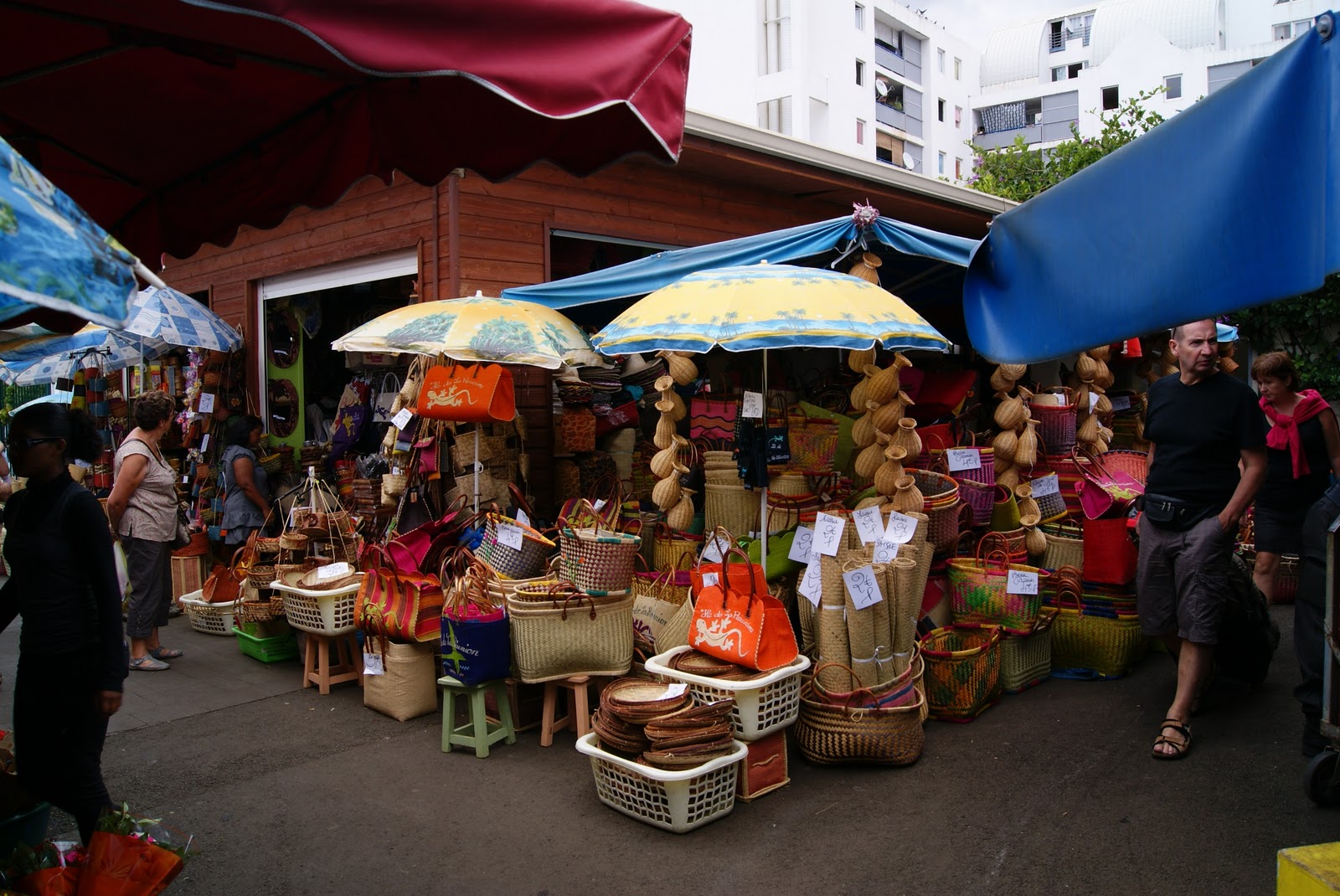 La couleur de la terre SaintDenis de la Réunion Visite guidée