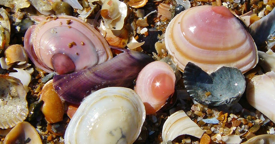 Keunikan Kerajinan Bahan Keras Keunikan Kerajinan Bahan Keras