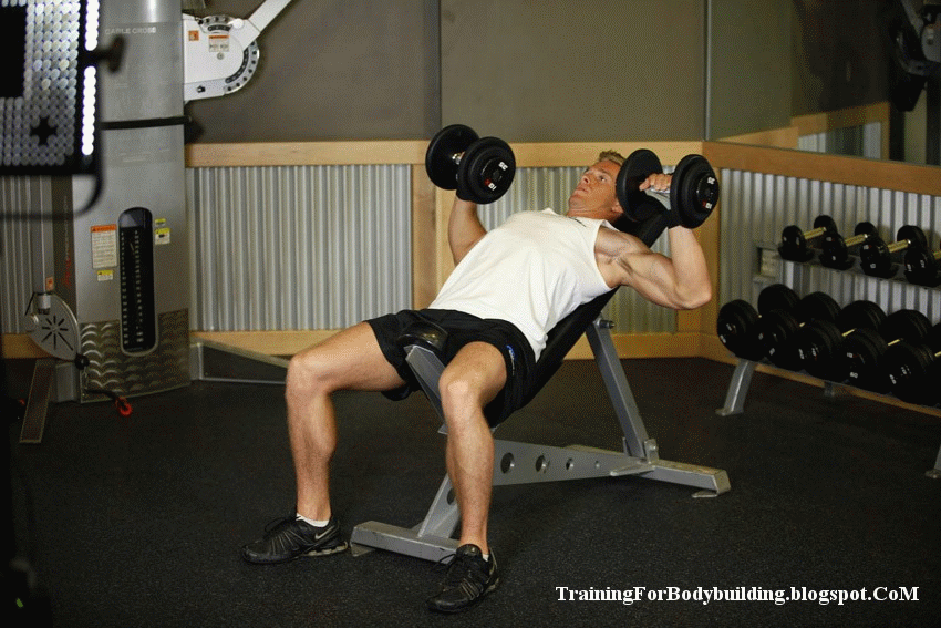 best chest workout training for bodybuilding