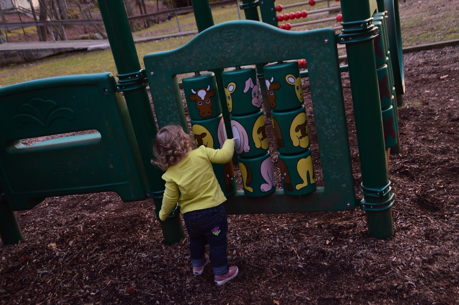 Trips 'n Toys Frozen Head State Park Wartburg, TN