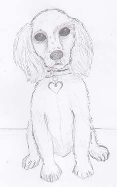 The Fine Art And Ramblings Of Lisabella Russo Cocker Spaniel Puppy